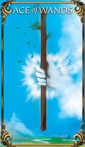 Namaste ace of wands carry few meanings with different context in a tarot spread. Ace Of Wands Tarot Card Meaning Astrologyanswers Com