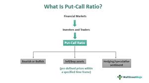 put call ratio meaning exle