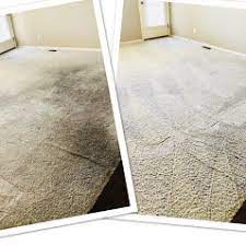 professional carpet cleaning colorado