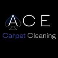 ace carpetcleaning reviews read