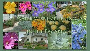Water Wise Gardening In The San