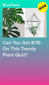 A notch in a tree will remain the same distance from the ground as the tree grows. Can You Get 8 10 On This Trendy Plant Quiz Trendy Plants Plants Quiz