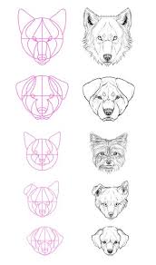 See dog drawing stock video clips. How To Draw Animals Dogs And Wolves And Their Anatomy