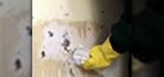 how to remove water stains from walls