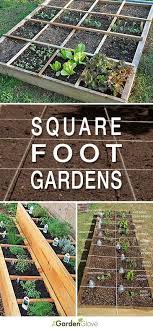easy steps to square foot gardening