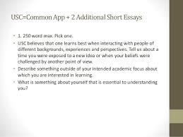 learn how to write essay outline essay on importance of games in     College Essay Advisors