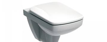 Square Toilet Seat Commercial Toilets