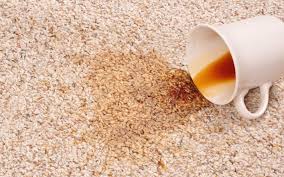 best tips to remove carpet stains