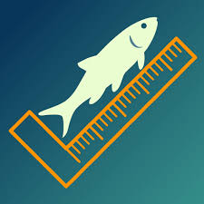 Uk Sea Fish Size Charts Apps 148apps