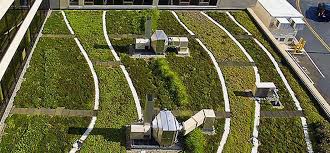 Icu Rooftop Garden Example Of