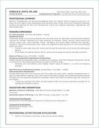 Resume Summary For College Student Best Of Resume Template For