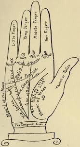 31 Vital Questions And Answers About Palmistry You Wanted To