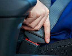 seatbelt law