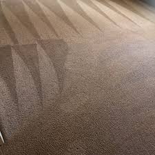 top 10 best rug cleaning in lexington