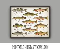 Printable Fishing Wall Art Print