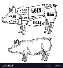 Pig Butcher Diagram Pork Cuts Design Element For