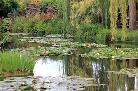 Spectacular Waterlily Garden In Giverny