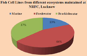 Pie Chart Showing The Proportion Of Fish Cell Lines Kept In