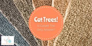 cat trees is carpet the only answer