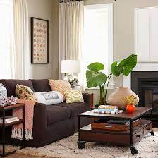 decorating with brown couches wild