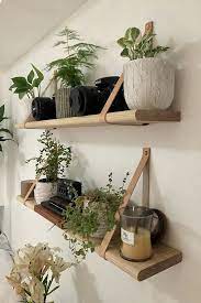 Plant Wall Shelves 5 Creative Ways To