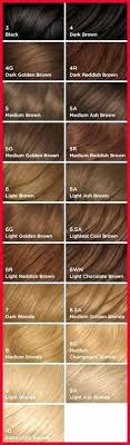 Clairol Perfect 10 Light Golden Brown Hair Color Ideas And