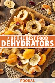 the best food dehydrators for 2021 a