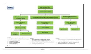 Organizational Chart 2015