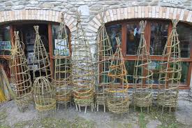 Willow Weaving Plant Support