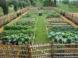 garden layout vegetable garden design