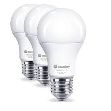 Boundery Led Emergency Light Bulb 3 Pack 100113303w The Home Depot