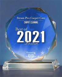 home steam pro carpet care