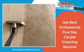 five star carpet cleaning service