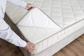 Can Bed Bugs Live On Plastic Mattress