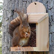 mangeoire pour écureuils en pin douglas