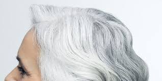 The process involves running a light blue dye through grey hair.in a hope that it'll make the apperance younger.very popular with the senior citizens of the uk. How To Make Grey Hair Shiny In Seconds