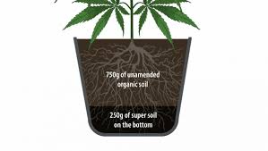 super soil for cans plants