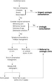 Diagnosis And Initial Management Of Kidney Stones American