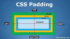 css padding a prehensive guide to
