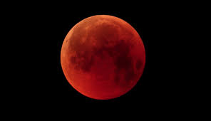 Esta luna llena de noviembre es conocida como luna llena del castor. La Luna De Sangre Y Otros Fenomenos Astronomicos Que Se Veran Este 2021 La Republica