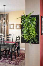 How To Create A Living Wall Plantscapes