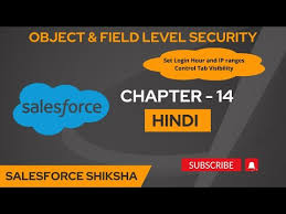 sforce chapter 14 hindi you