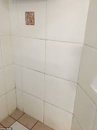 Genius Grout Cleaning Trick Leaves
