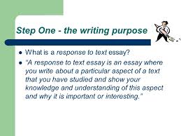 Essay Types Examples   Cover Letter Sample mla format summary response essay analytical essay writing examples summary response  essay outline computer programmer resume