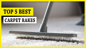 5 best carpet rakes you can