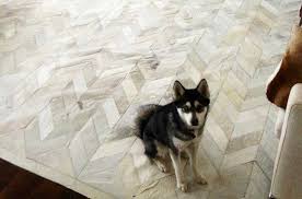 pets and leather area rugs