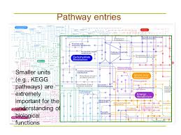 Biological Pathways Networks Ppt Video Online Download