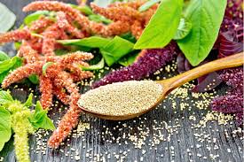 health benefits and uses of amaranth