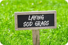 This is also when you should mow your new lawn for the first time after laying sod. How To Water Care For New Sods Expert Tips Mountview