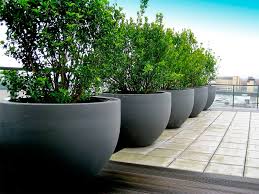 Pots Containers Plantscapes